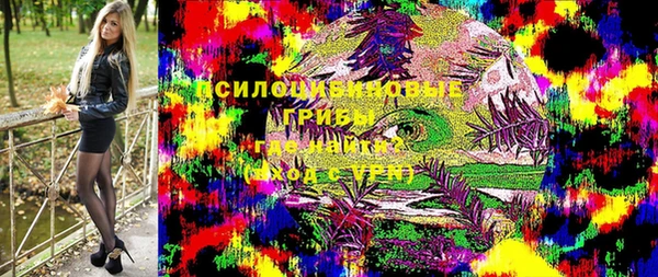 apvp Алзамай