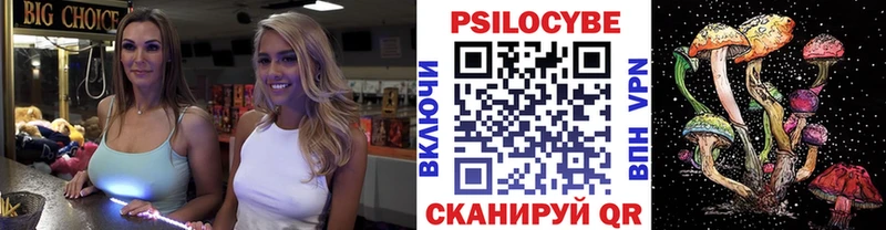 Псилоцибиновые грибы ЛСД  закладки  Нелидово 