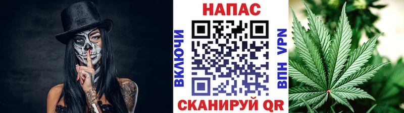 цена наркотик  Нелидово  Конопля семена 